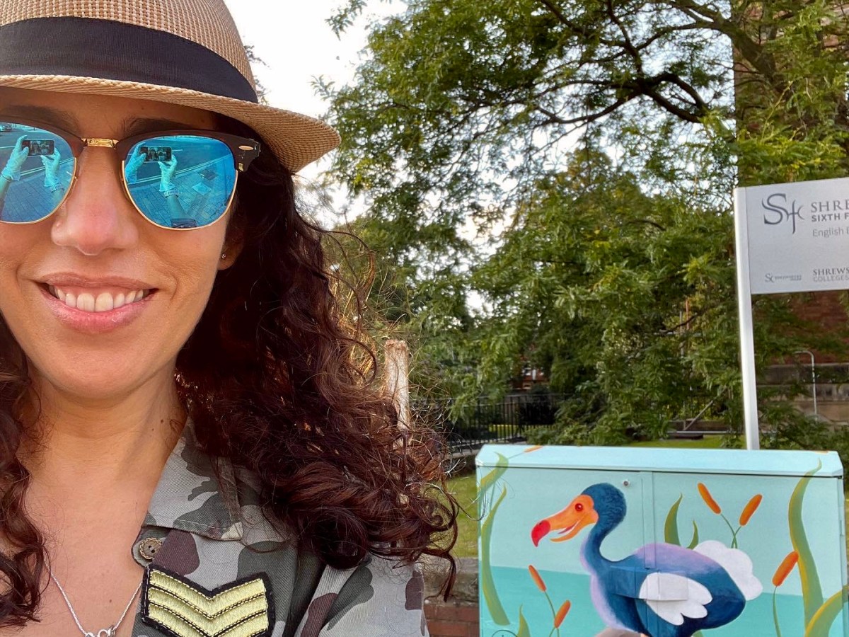 A Dodo in Shrewsbury: Mini&nbsp;Mural